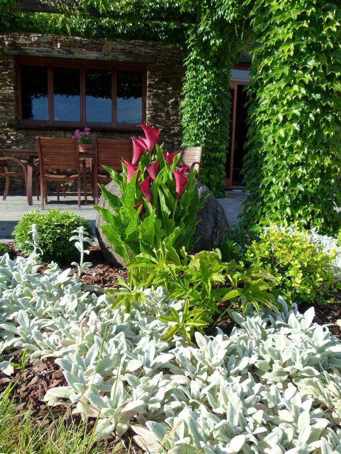 Hadleigh Boutique Lodge Tamahere Kültér fotó